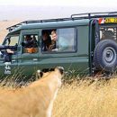 Vous rêvez de faire un safari, mais où et quand dois-je le faire?
