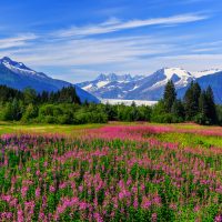 Les sites touristiques à visiter en Alaska