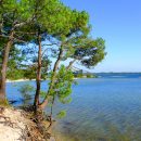 Mobile home à louer à Sanguinet plage : Vos plus belles vacances en France