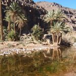 Tawdachete Tawdachete