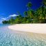 Rendez-vous en Guadeloupe, Perle des Caraïbes, et opter pour Les Paradis Créoles pour vos déplacements