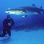 raggiecloseup raggiecloseup