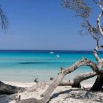 image-samboat2 image-samboat2