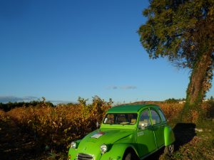 routes-des-vins-gard_ailleurs-et-uzes008