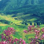 Dien Bien Phu Discovery Dien Bien Phu Discovery