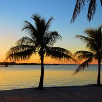 Visiter Key West et faire la fête dans le pays des Conchs