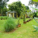 ile-reunion ile-reunion