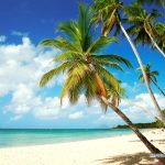 martinique meet to travel rencontre voyageur