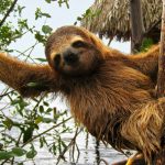 1450356376_02 1450356376_02