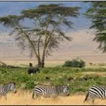 afrique arthur afrique arthur