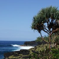Un voyage de détente et de dépaysement à la Réunion