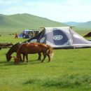 Une Mongolie Authentique !