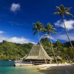 wallup.net wallup.net