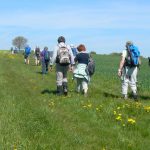 Marche-02C Marche-02C