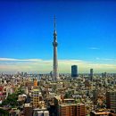À la découverte de Tokyo, l’une des plus grandes villes du monde