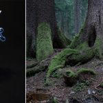 compo-glaconfleur-BD-nom compo-glaconfleur-BD-nom