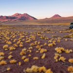 2016-09-Chili-Atacama-1571
