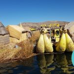 20170730_092548 20170730_092548