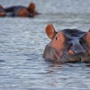 Cap sur la zone de l’Océan Indien : Le trapèze des Mascareignes