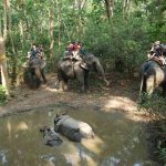 Parc national de Chitwan