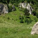 Vacances d’été en Haut Jura : des idées d’activités pour un séjour inoubliable