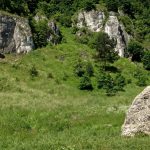 rocks_limestones_hiking_landscape_nature_poland_tourism_jura_krakowsko_cz_stochowa-608834.jpg!d