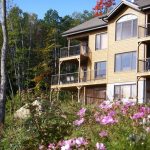 702x1000_té en fleur (002) 702x1000_té en fleur (002)