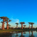 madagascar madagascar