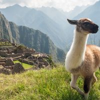 Comment organiser un voyage personnalisé au Pérou ?