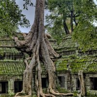 Visiter le Cambodge pendant la saison des pluies