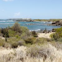 Partir étudier en Martinique : zoom sur une nouvelle vie !