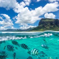 Faire de la plongée sous-marine à l’Ile Maurice pour des vacances exceptionnelles