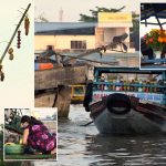 cai rang VIRLOBLOG (1)