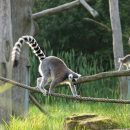 Les plus belles attractions touristiques naturelles à Madagascar