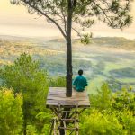 voyager ecolo_photo-of-a-man-sitting-under-the-tree-737586