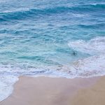 hawaii-4923130_1920