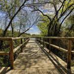 Ecotourisme Ecotourisme