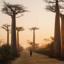 Comment voyager en sérénité à Madagascar ?