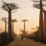 Comment voyager en sérénité à Madagascar ?