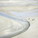 mont-st-michel-5509839_1920 mont-st-michel-5509839_1920